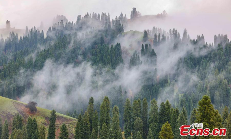 Spectacular landscape of fluffy clouds floating over Tianshan Mountains after a rainfall in northwest China's Xinjiang Uyghur Autonomous Region, Oct. 25, 2023.(Photo: ecns.cn)