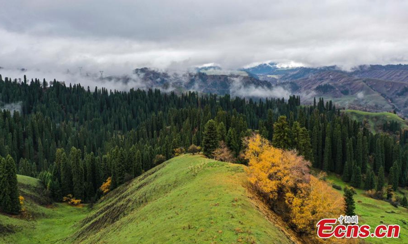 Spectacular landscape of fluffy clouds floating over Tianshan Mountains after a rainfall in northwest China's Xinjiang Uyghur Autonomous Region, Oct. 25, 2023.(Photo: ecns.cn)