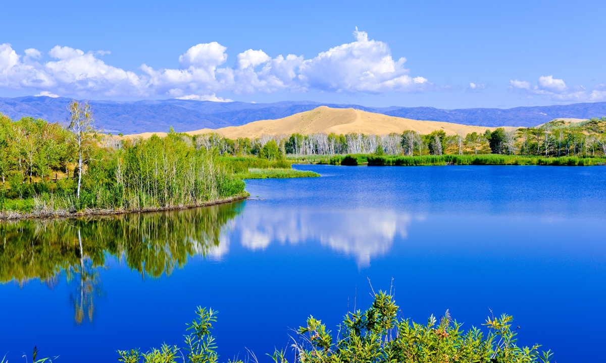 Picture shows natural landscape of Altay Prefecture, Northwest China's Xinjiang Uygur Autonomous Region. Photo: VCG
