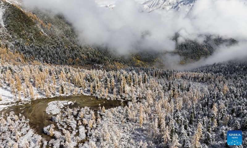 This aerial photo taken on Oct. 27, 2023 shows the autumn scenery along the road to Dangling village of Danba County, southwest China's Sichuan Province. (Photo: Xinhua)