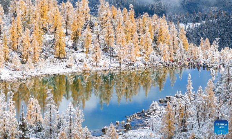 This aerial photo taken on Oct. 27, 2023 shows the autumn scenery along the road to Dangling village of Danba County, southwest China's Sichuan Province. (Photo: Xinhua)