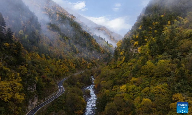 This aerial photo taken on Oct. 27, 2023 shows the autumn scenery along the road to Dangling village of Danba County, southwest China's Sichuan Province. (Photo: Xinhua)