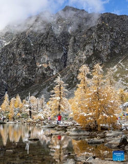 This aerial photo taken on Oct. 27, 2023 shows the autumn scenery along the road to Dangling village of Danba County, southwest China's Sichuan Province. (Photo: Xinhua)