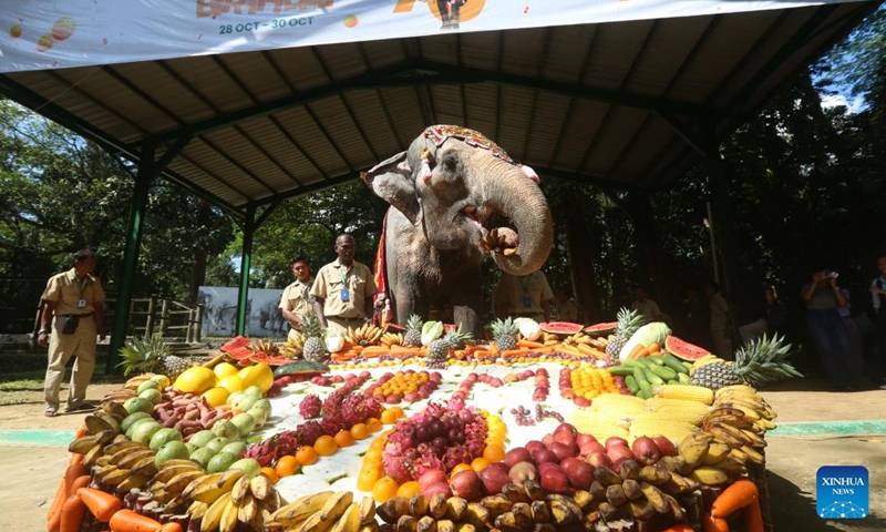 Momo, a well-known Asian elephant of the Yangon Zoological Gardens, celebrates her 70th birthday in Yangon, Myanmar, Oct. 29, 2023. (Photo: Xinhua)