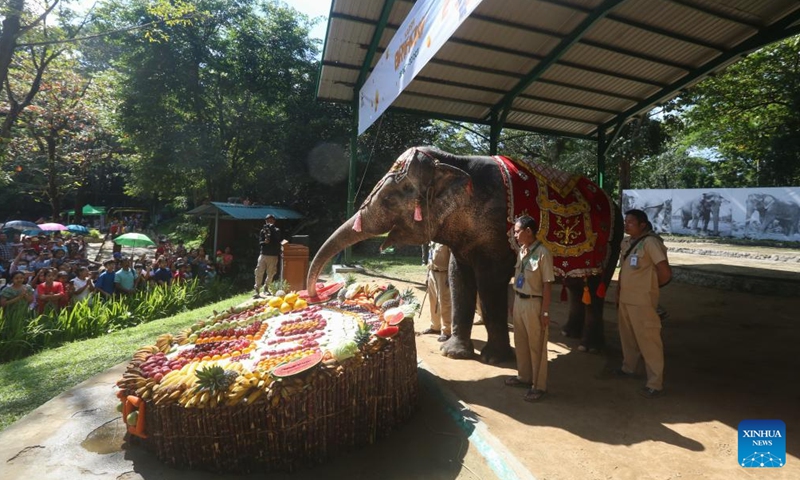 Momo, a well-known Asian elephant of the Yangon Zoological Gardens, celebrates her 70th birthday in Yangon, Myanmar, Oct. 29, 2023. (Photo: Xinhua)