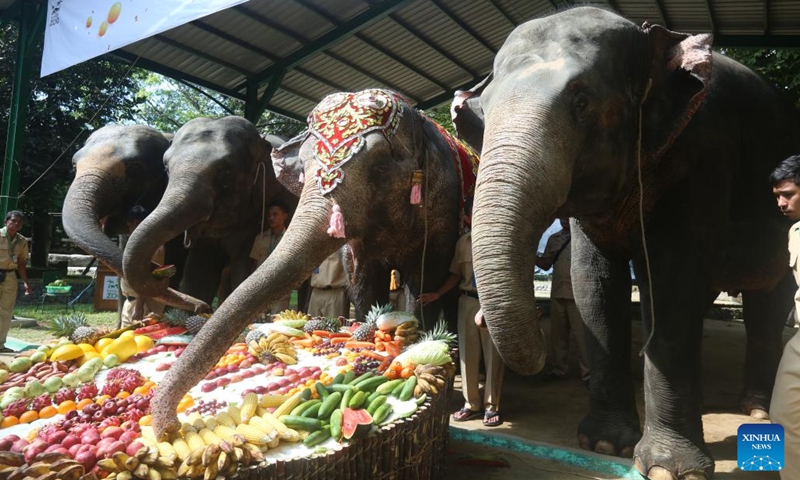 Momo (2nd R), a well-known Asian elephant of the Yangon Zoological Gardens, celebrates her 70th birthday in Yangon, Myanmar, Oct. 29, 2023. (Photo: Xinhua)