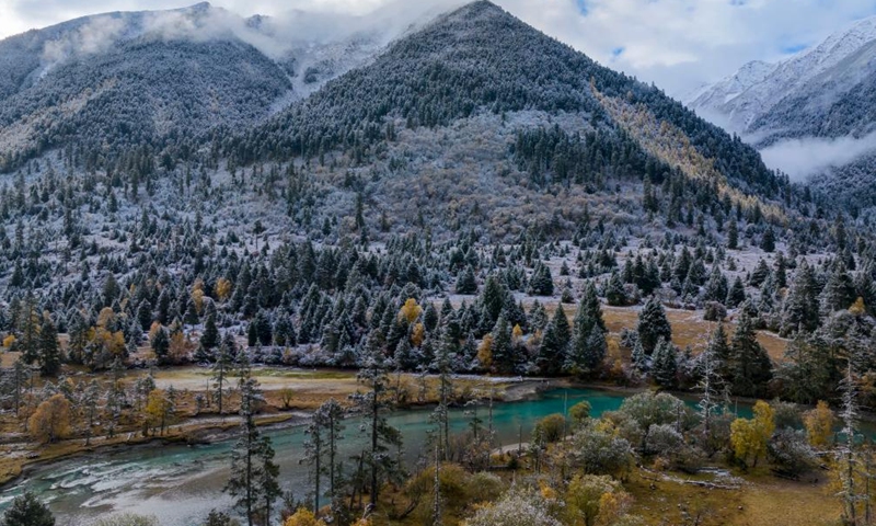 This aerial photo taken on Oct. 28, 2023 shows the autumn scenery of a canyon after a snowfall in Gongbo'Gyamda County in Nyingchi City, southwest China's Tibet Autonomous Region. (Photo: Xinhua)