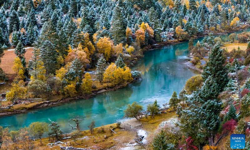 This aerial photo taken on Oct. 28, 2023 shows the autumn scenery of a canyon after a snowfall in Gongbo'Gyamda County in Nyingchi City, southwest China's Tibet Autonomous Region. (Photo: Xinhua)