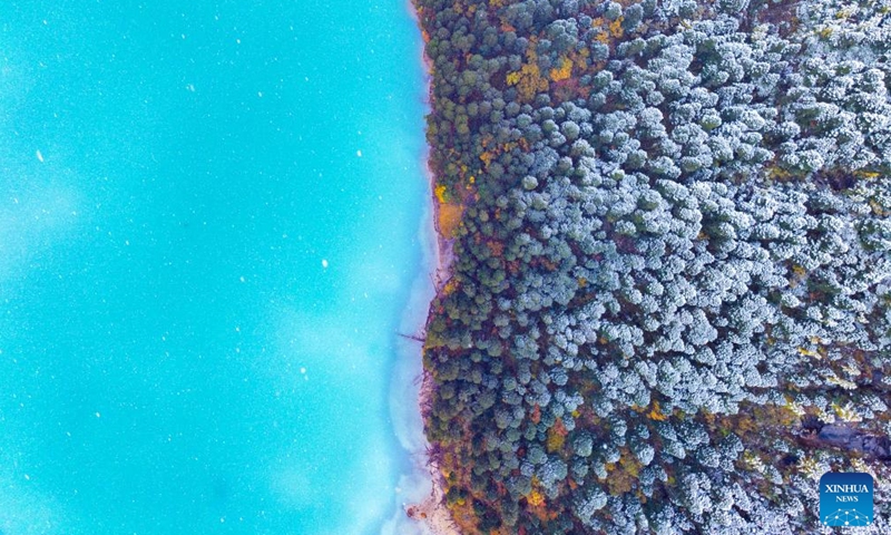 This aerial photo taken on Oct. 28, 2023 shows the autumn scenery in Gongbo'Gyamda County in Nyingchi City, southwest China's Tibet Autonomous Region. (Photo: Xinhua)