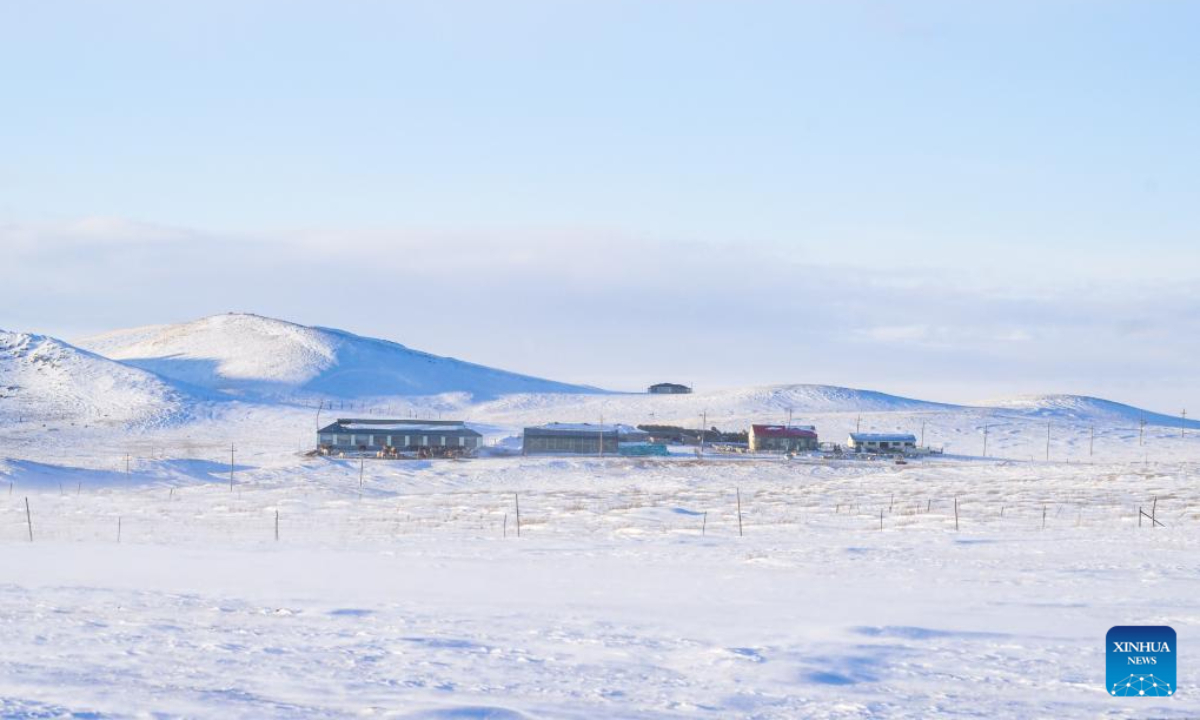 This aerial photo taken on Nov 16, 2023 shows groves on the snow-covered Ujimqin grasslands in West Ujimqin Banner of Xilingol League, north China's Inner Mongolia Autonomous Region. Photo:Xinhua