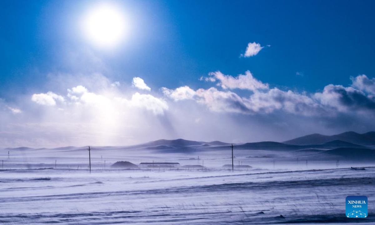 This aerial photo taken on Nov 16, 2023 shows groves on the snow-covered Ujimqin grasslands in West Ujimqin Banner of Xilingol League, north China's Inner Mongolia Autonomous Region. Photo:Xinhua