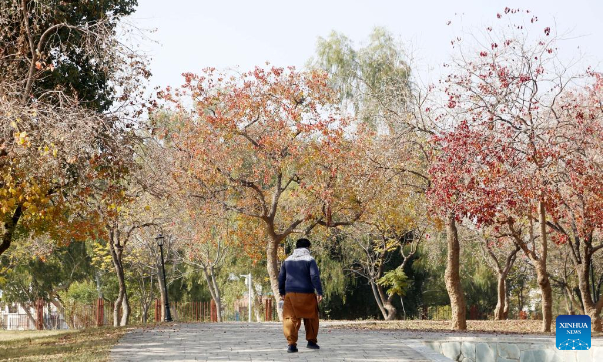 A man walks in the Fatima Jinnah Park in Islamabad, capital of Pakistan, Dec 1, 2023. Photo:Xinhua