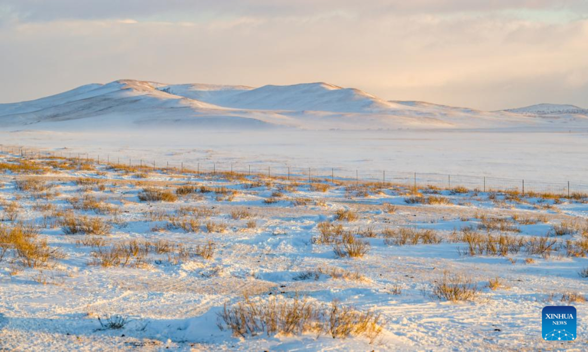 This aerial photo taken on Nov 16, 2023 shows groves on the snow-covered Ujimqin grasslands in West Ujimqin Banner of Xilingol League, north China's Inner Mongolia Autonomous Region. Photo:Xinhua