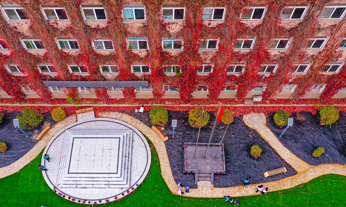 In this photo taken on October 31, 2023, the exterior of a building at a primary school in Shenyang, Northeast China's Liaoning Province is covered with grape ivy. From a distance, it looks exceptionally bright and eye-catching. Photo: VCG