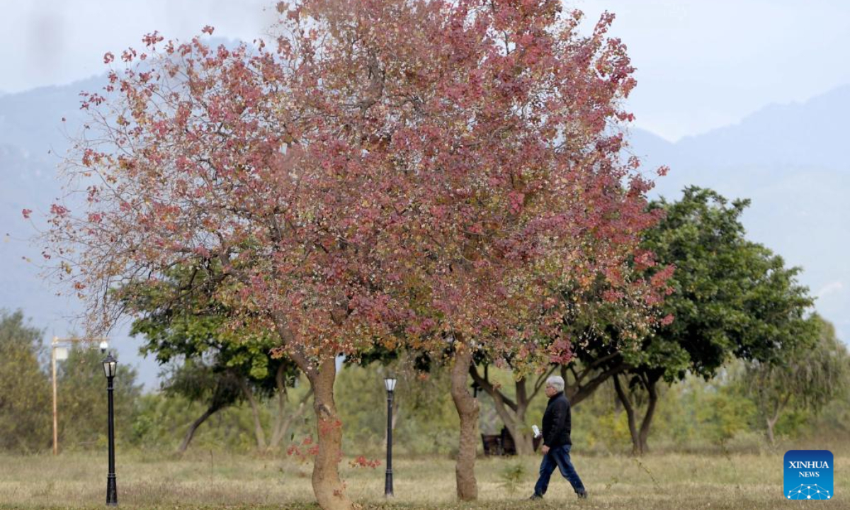 A man walks in the Fatima Jinnah Park in Islamabad, capital of Pakistan, Dec 1, 2023. Photo:Xinhua