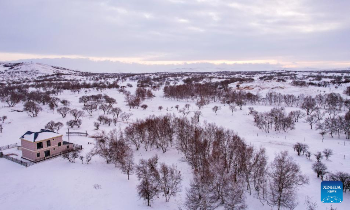 This aerial photo taken on Nov 16, 2023 shows groves on the snow-covered Ujimqin grasslands in West Ujimqin Banner of Xilingol League, north China's Inner Mongolia Autonomous Region. Photo:Xinhua