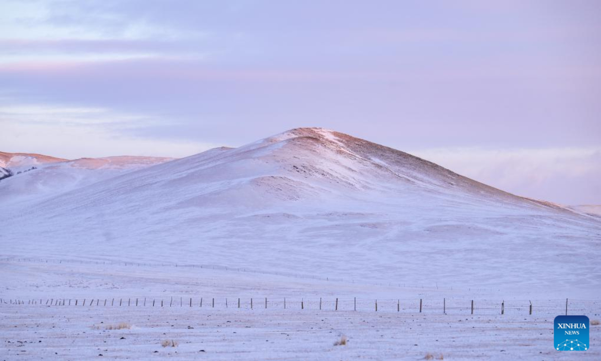 This aerial photo taken on Nov 16, 2023 shows groves on the snow-covered Ujimqin grasslands in West Ujimqin Banner of Xilingol League, north China's Inner Mongolia Autonomous Region. Photo:Xinhua