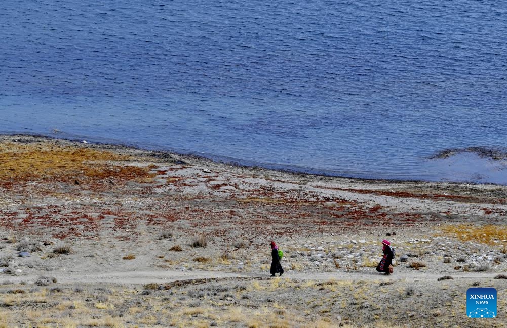 This photo taken on Oct. 29, 2023 shows the scenery of the Mapam Yumco Lake in Burang County of Ngari Prefecture, southwest China's Tibet Autonomous Region.(Photo: Xinhua)