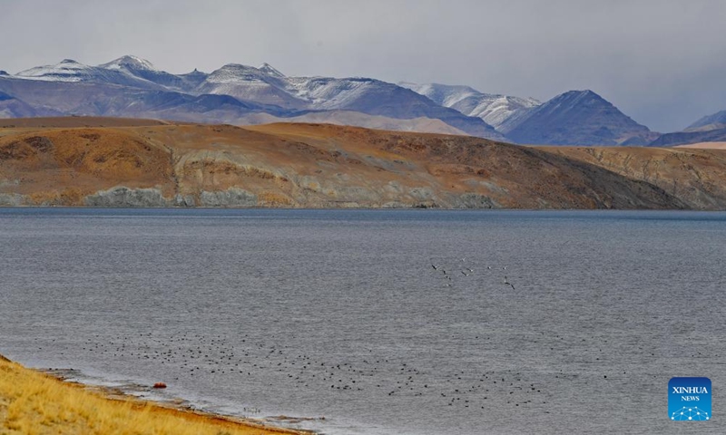 This photo taken on Oct. 29, 2023 shows the scenery of the Mapam Yumco Lake in Burang County of Ngari Prefecture, southwest China's Tibet Autonomous Region.(Photo: Xinhua)