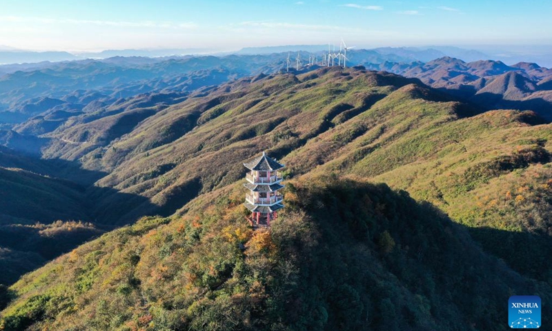 This aerial photo taken on Nov. 1, 2023 shows the autumn view of a forest farm in Longshan County of Xiangxi Tujia and Miao Autonomous Prefecture, central China's Hunan Province.(Photo: Xinhua)