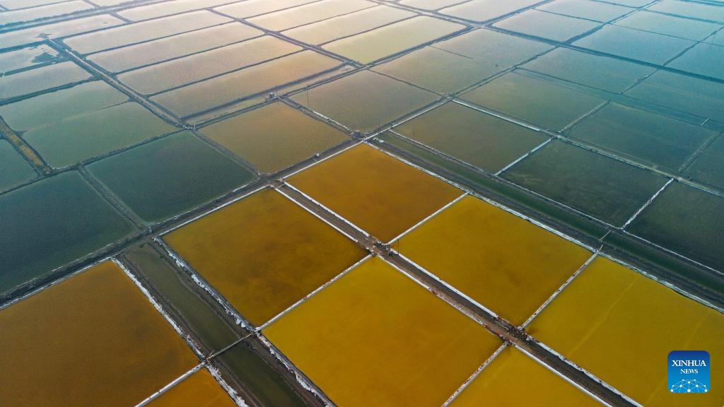 This aerial photo taken on Oct. 31, 2023 shows salt pans in the city of Yingkou, northeast China's Liaoning Province.(Photo: Xinhua)