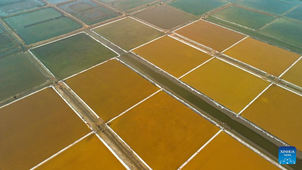 This aerial photo taken on Oct. 31, 2023 shows salt pans in the city of Yingkou, northeast China's Liaoning Province.(Photo: Xinhua)