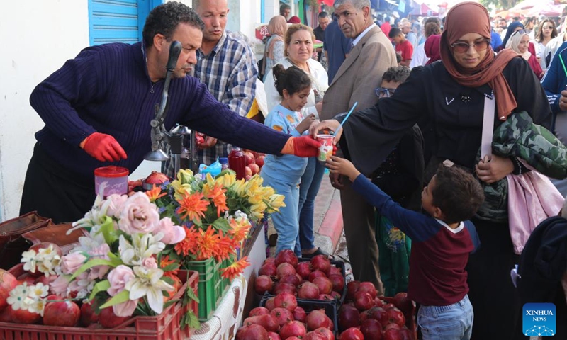 Pomegranate festival held in Testour, Tunisia - Global Times
