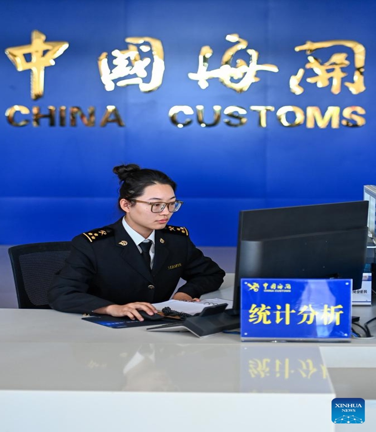 A customs officer works at a service hall in Kashgar Prefecture, northwest China's Xinjiang Uygur Autonomous Region, Nov. 4, 2023. (Photo: Xinhua)