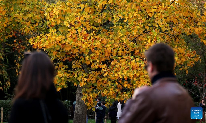 People walk at Holland Park in London, Britain, Nov. 5, 2023.(Photo: Xinhua)