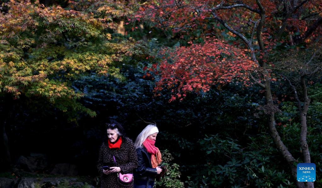 People walk at Holland Park in London, Britain, Nov. 5, 2023.(Photo: Xinhua)