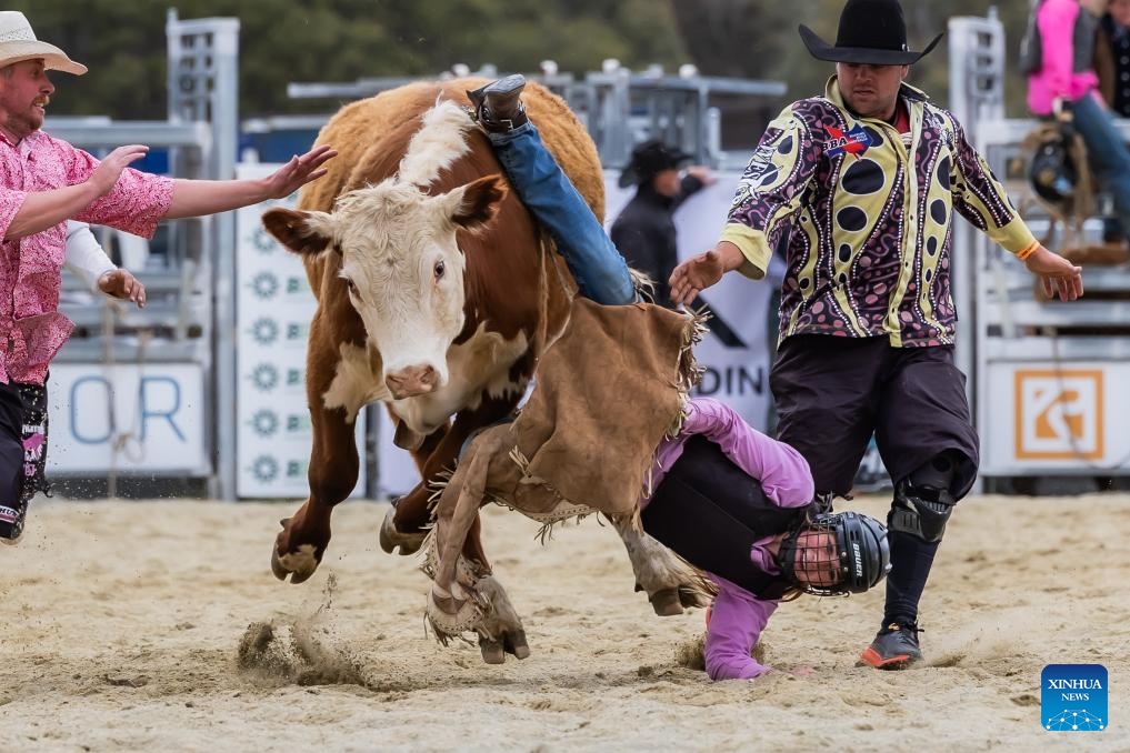 This photo taken on Nov. 5, 2023 shows a competition scene at the Bungendore Rodeo 2023 in Bungendore, Australia. The Bungendore Rodeo 2023 attracts top competitors from across the world.(Photo: Xinhua)