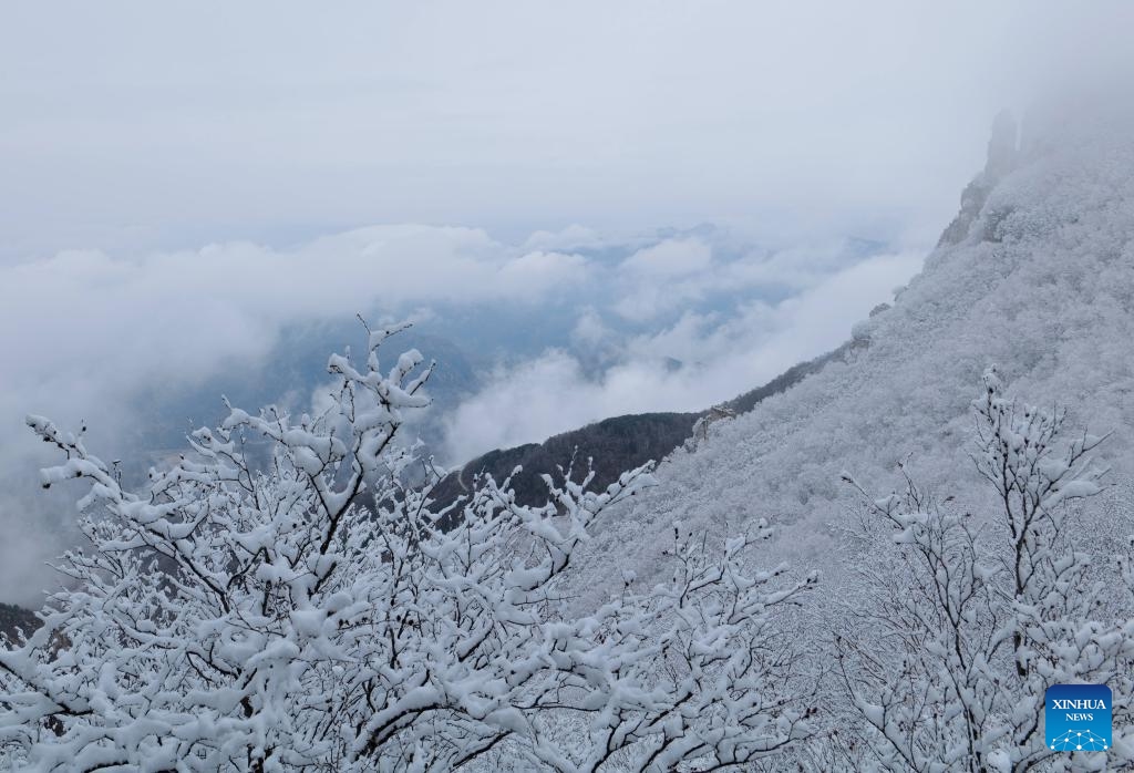 This photo taken on Nov. 5, 2023 shows the scenery of snow-covered Baishi Mountain in Laiyuan County, north China's Hebei Province.(Photo: Xinhua)