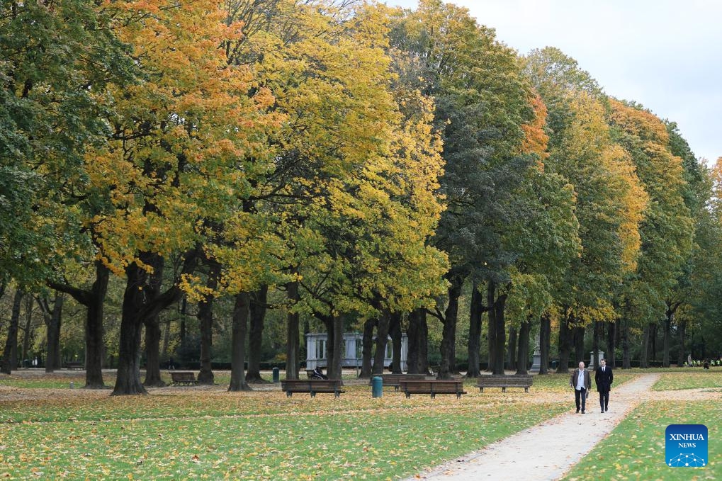 People enjoy the autumn scenery at a park in Brussels, Belgium, Nov. 7, 2023.(Photo: Xinhua)