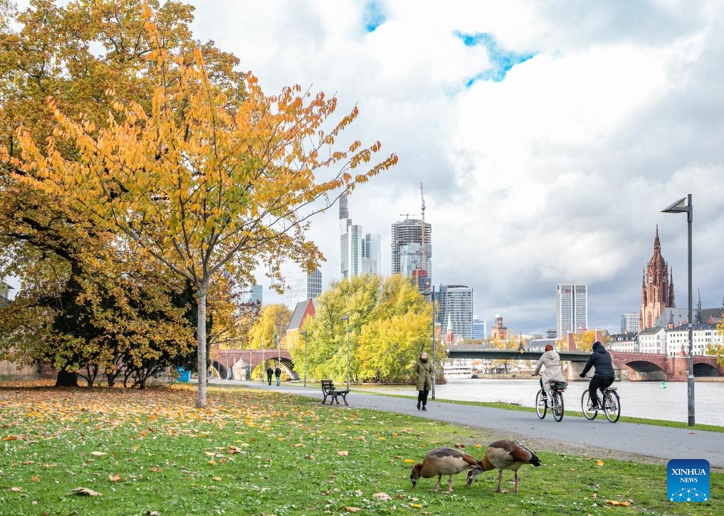 This photo taken on Nov. 8, 2023 shows autumn scenery along the river Main in Frankfurt, Germany.(Photo: Xinhua)