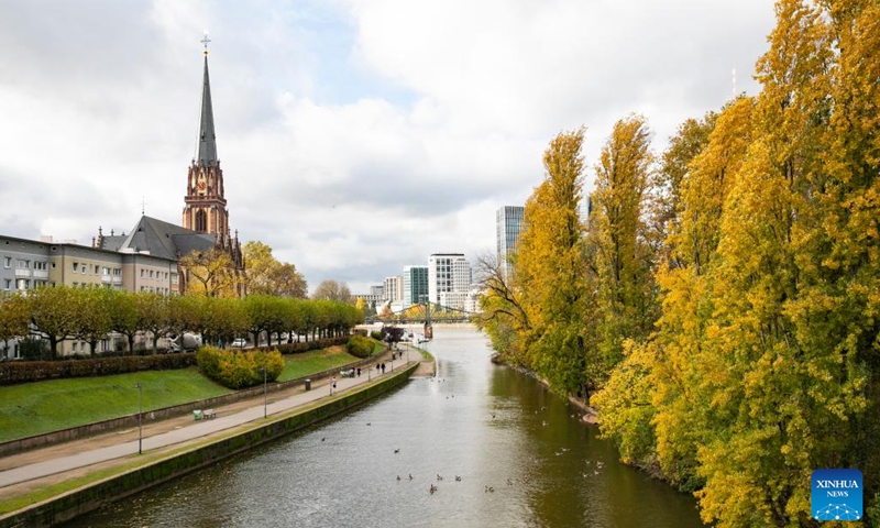 This photo taken on Nov. 8, 2023 shows autumn scenery along the river Main in Frankfurt, Germany.(Photo: Xinhua)