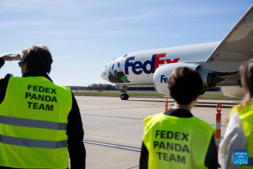 An airplane transporting giant pandas is seen at the Dulles International Airport in Dulles, Virginia, the United States, on Nov. 8, 2023.(Photo: Xinhua)