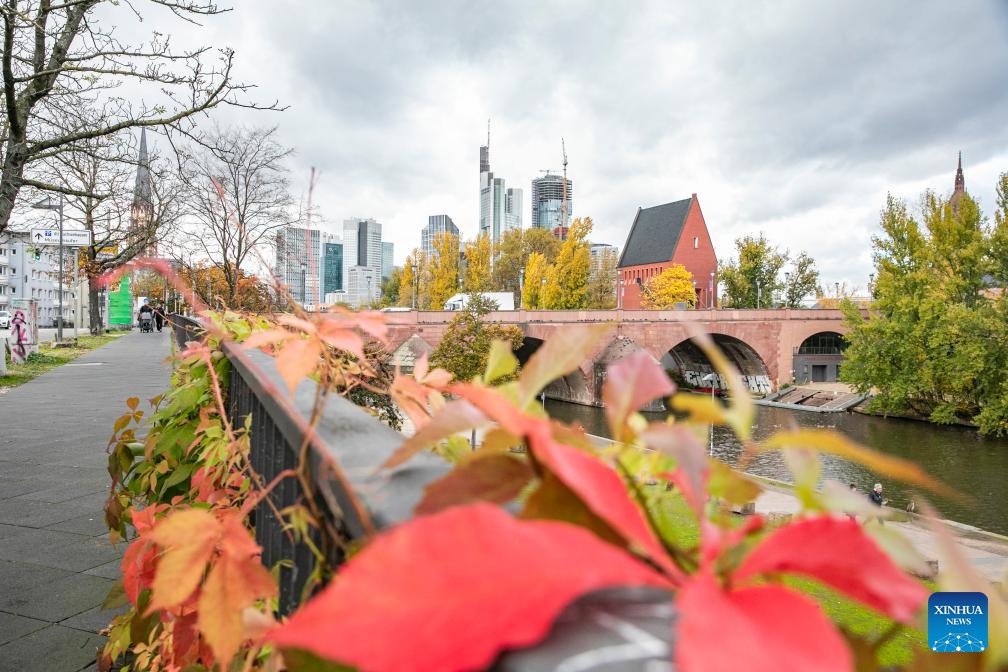 This photo taken on Nov. 8, 2023 shows autumn scenery along the river Main in Frankfurt, Germany.(Photo: Xinhua)