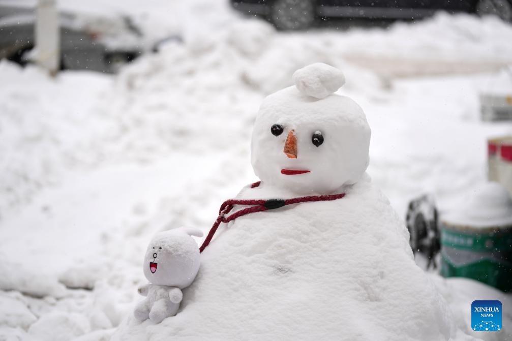 A snowman is seen in Harbin, northeast China's Heilongjiang Province, Nov. 8, 2023.(Photo: Xinhua)