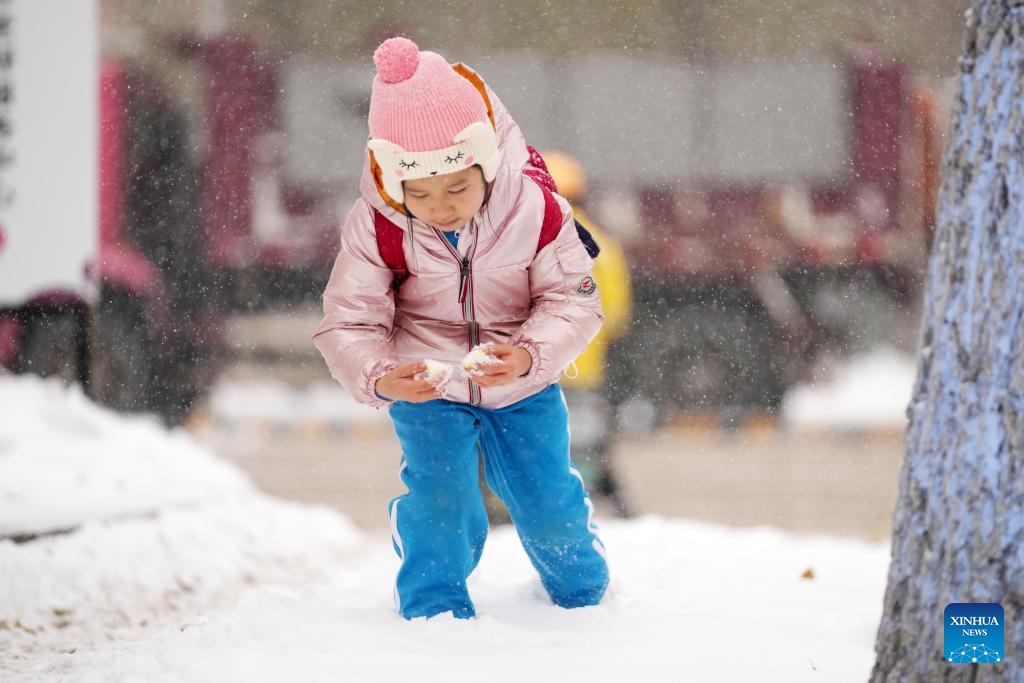 A girl plays with snow in Harbin, northeast China's Heilongjiang Province, Nov. 8, 2023.(Photo: Xinhua)