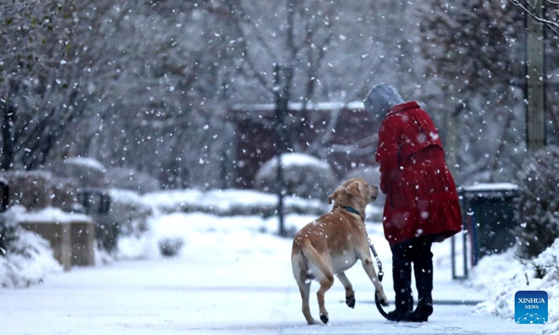 A woman and her dog walk in snow in Huanggu District of Shenyang, northeast China's Liaoning Province, Nov. 8, 2023. Shenyang witnessed a new round of snowfall on Wednesday, following heavy snow brought by a cold front on Monday.(Photo: Xinhua)