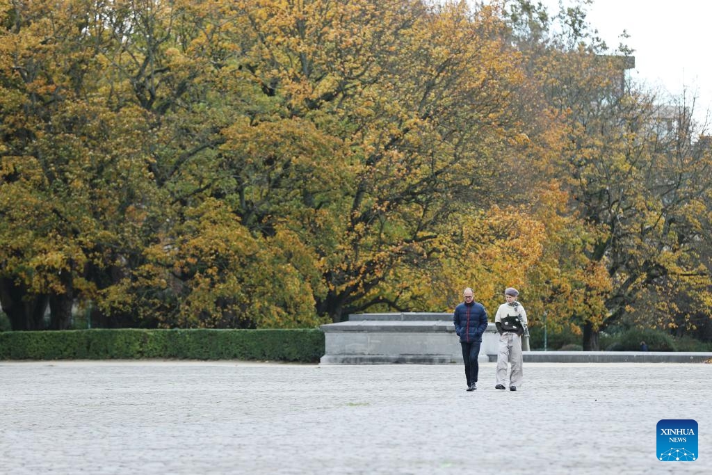 People enjoy the autumn scenery at a park in Brussels, Belgium, Nov. 7, 2023.(Photo: Xinhua)