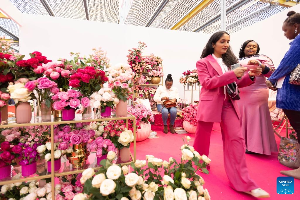 People visit 2023 International Floriculture Trade Fair (IFTF) in Vijfhuizen, the Netherlands, Nov. 8, 2023. The IFTF is an annual event in the Netherlands that brings together horticultural professionals, flower lovers and industry experts from around the world.(Photo: Xinhua)