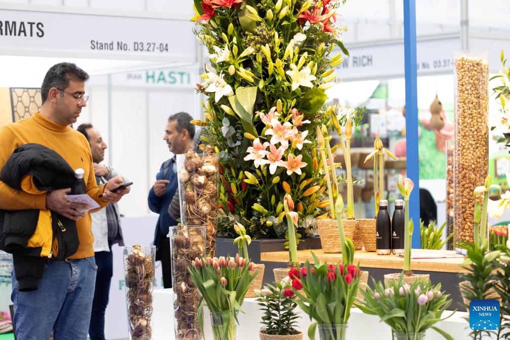 People visit 2023 International Floriculture Trade Fair (IFTF) in Vijfhuizen, the Netherlands, Nov. 8, 2023. The IFTF is an annual event in the Netherlands that brings together horticultural professionals, flower lovers and industry experts from around the world.(Photo: Xinhua)