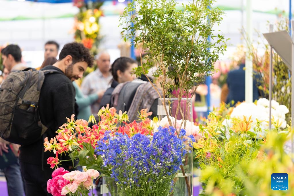 People visit 2023 International Floriculture Trade Fair (IFTF) in Vijfhuizen, the Netherlands, Nov. 8, 2023. The IFTF is an annual event in the Netherlands that brings together horticultural professionals, flower lovers and industry experts from around the world.(Photo: Xinhua)