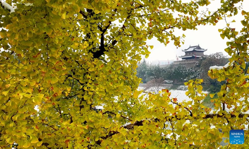 This aerial photo taken on Nov. 11, 2023 the view of snow-covered ancient city wall in Xi'an, northwest China's Shaanxi Province. Xi'an witnessed a snowfall on Saturday, the first one after traditional solar term of Lidong, which means the beginning of winter and fell on Nov. 8 this year. (Photo: Xinhua)