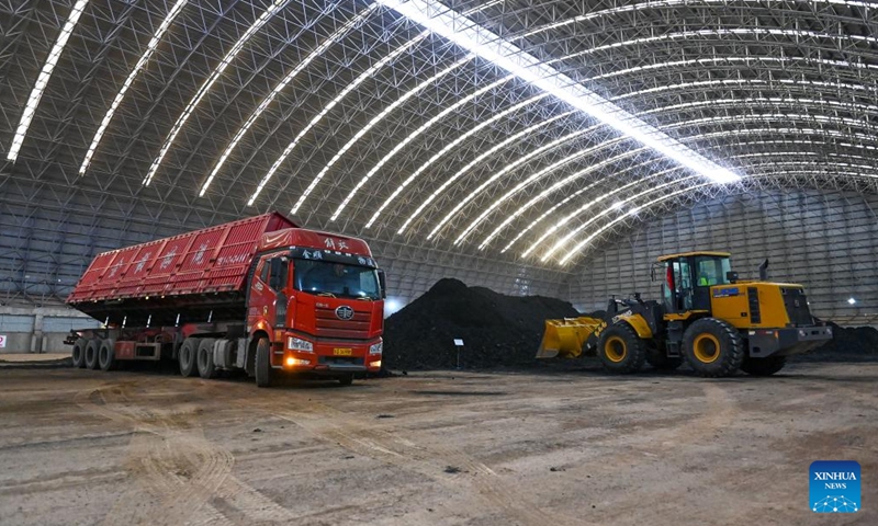 Imported coal from Kyrgyzstan is unloaded at the Irkeshtam port in northwest China's Xinjiang Uygur Autonomous Region, Nov. 7, 2023.  (Photo: Xinhua)