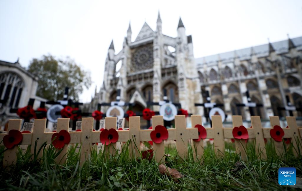 Poppy petals and crosses are seen at the Field of Remembrance at Westminster Abbey on the occasion of Remembrance Sunday in London, Britain, on Nov. 12, 2023. Remembrance Sunday is an annual commemoration held on the closest Sunday to Armistice Day, Nov. 11, the anniversary of the end of the First World War.(Photo: Xinhua)