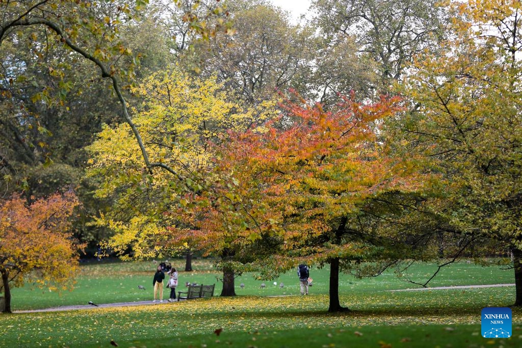 People enjoy the autumn scenery at St James's Park in London, Britain, Nov. 13, 2023.(Photo: Xinhua)