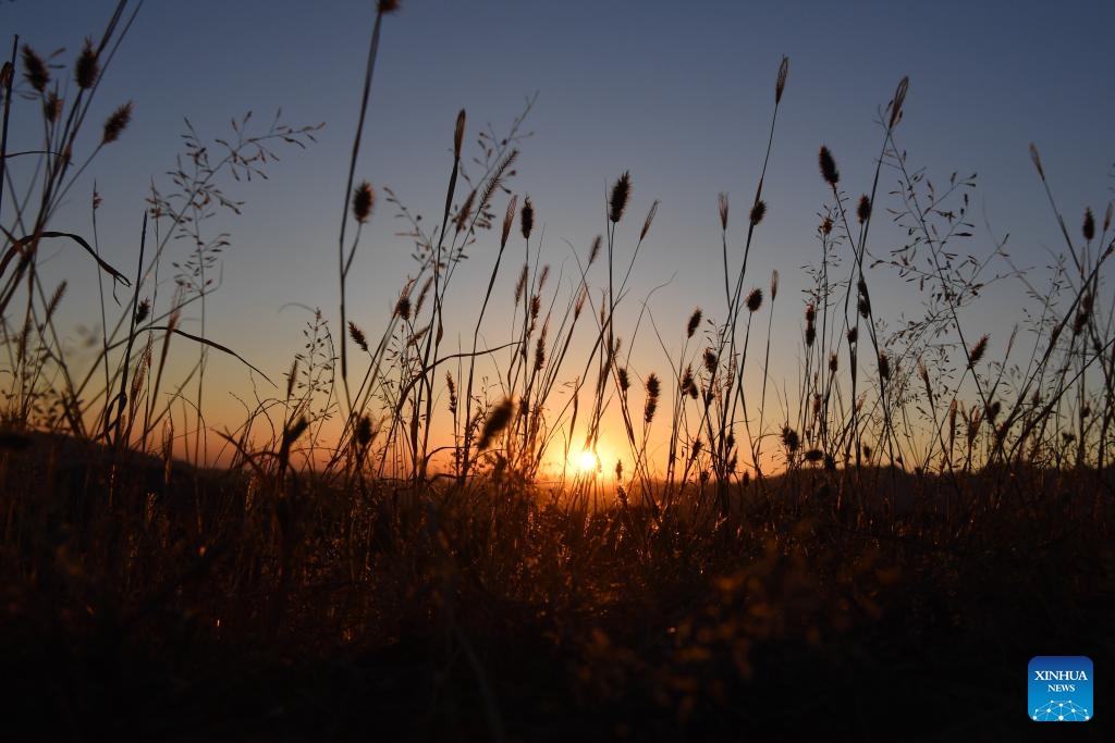 This photo taken on Nov. 14, 2023 shows sunset view seen from the Gubeikou Great Wall in Beijing, capital of China.(Photo: Xinhua)