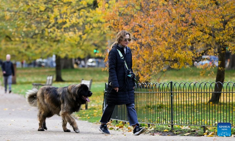 A woman walks her dog at St James's Park in London, Britain, Nov. 13, 2023.(Photo: Xinhua)